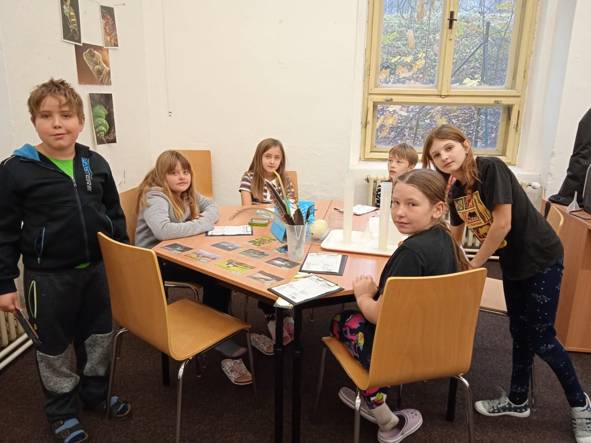 78ce652a-420d-46da-8260-466d88eca395