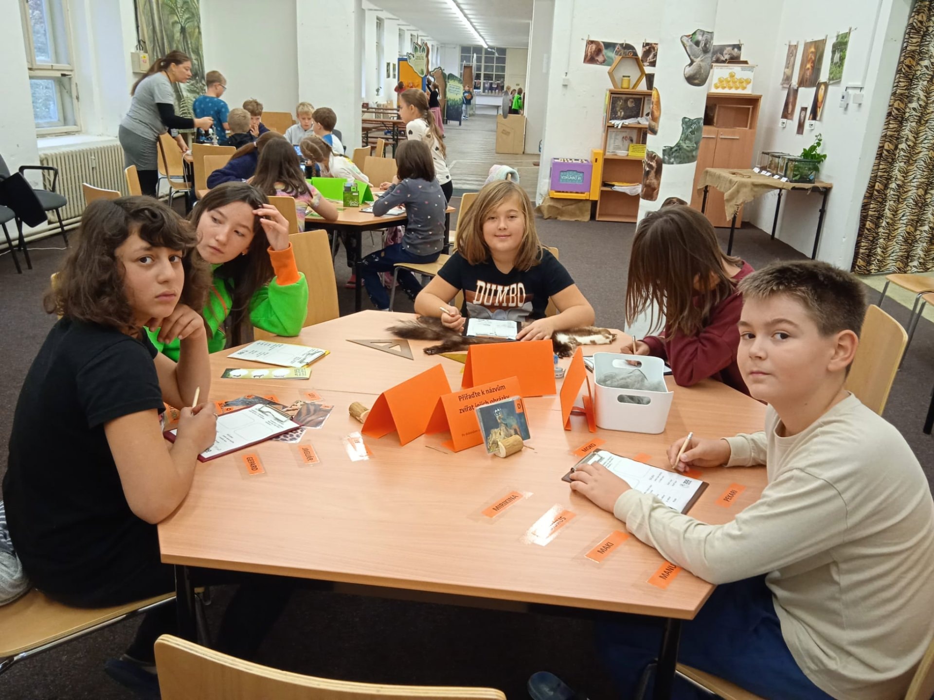 7985e83c-d433-49d3-b87c-24a4cadce700