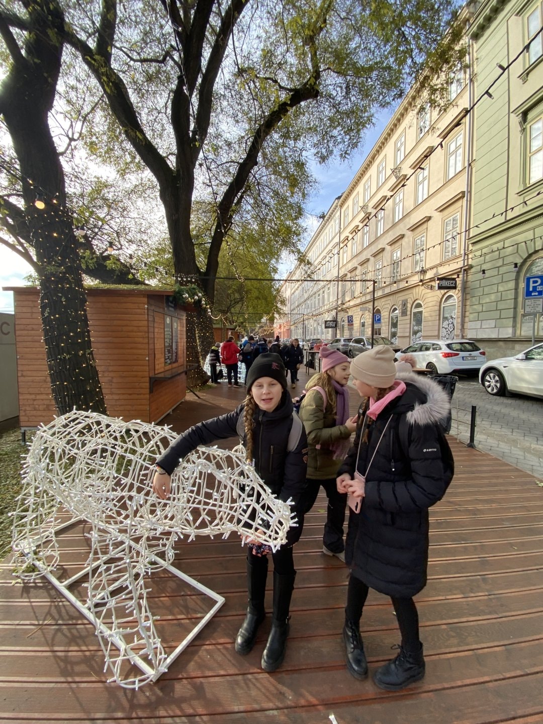 IMG-0295