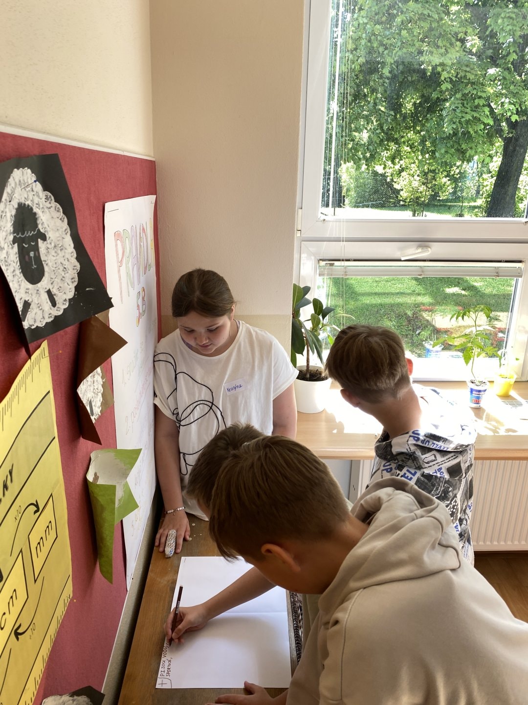 IMG-3065