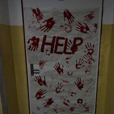 image-12030